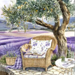  Szalvéta - Provence-i nyár