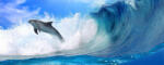Consalnet Delfin poszter, fotótapéta (250 x 104 cm) (C1-188VEP)