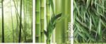 Consalnet Bamboo poszter, fotótapéta (250 x 104 cm) (C1-2-180VEP)