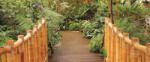 Consalnet Jungle poszter, fotótapéta (250 x 104 cm) (C1-183VEP)
