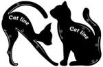 Makeup Set 2 sabloane eyeliner , Makeup, Cat Line (TS2629)