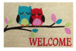 Unic Spot Covoras intrare Koko design Bufnita, 40x60 cm Covor