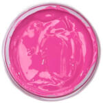 SiliCreate SiliPig - pigmenți de silicon de înaltă concentrație - Cantitate - 25 g, Culoarea pigmentului - Roz (SC-PG-PNK)