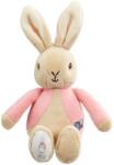 Rainbow Designs Jucarie zornaitoare din plus Flopsy, Peter Rabbit, 16 cm