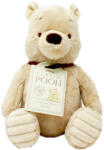 Rainbow Designs Jucarie de plus Winnie, Winnie the Pooh, 18 cm