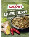 KOTÁNYI Ázsiai fűszernövények 15g