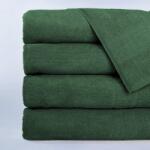 Ralex Pucioasa Prosop horeca bumbac 500 GSM Greek Border-verde (RPU-109606) Prosop