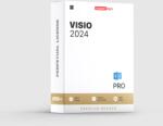 Microsoft Visio 2024 Pro (d87-07758)