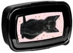 PASO Cutie de prânz pentru fete, model Princess Black Cat Paso, 500ml