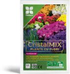 Diolsem Ingrasamant hidrosolubil CristalMix Plante cu Flori - 20 g, Diolsem (PR-104361)