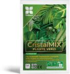 Diolsem Ingrasamant hidrosolubil CristalMix Plante Verzi - 20 g, Diolsem (PR-104359)