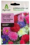 Agrosel SRL Őszirózsa, törpe színkeverék (0, 7 g)