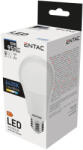 Entac LED Globe E27 10W CW 6400K - shopbazis