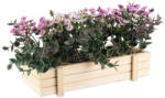 Bizzotto Flori artificiale mov verzi in ghiveci 22.5x8.5x14 cm (0172530A)