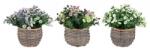 Bizzotto Set 3 ghivece cu flori artificiale 10.5x17 cm (0172800deco)