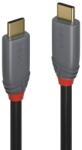 Lindy Cablu Lindy USB 3.2 Type-C to Type-C (tata - tata) (LY-36908)