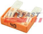 FAST siguranta fuzibila FAST FT11471 (FT11471)