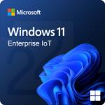 Microsoft Windows 11 IoT Enterprise (PN 6F6-00170)