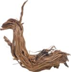 INVITAL Dragon wood 60-90cm (ID 3535)