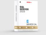 Microsoft Sql Server 2025 - Device Cal (359-01464)