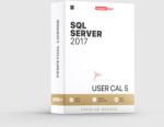 Microsoft Sql Server 2017 - User Cal 5 (359-06101-5)