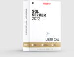 Microsoft Sql Server 2022 - User Cal (359-07153)