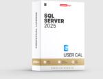 Microsoft Sql Server 2025 - User Cal (359-07444)