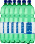 SALVUS gyógyvíz 6 x 1, 5 l