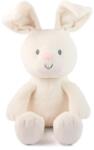 GUND Jucărie de pluș Gund - Iepurașul Flora, 18 cm (6073994)
