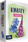 ALBI Tycikarty: Kwiaty ALBI (507186)