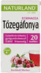  Tőzegáfonya Echin Gyüm Tea 20x 2g Nland - doktorpatika