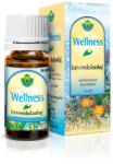 Wellness levendulaolaj 10 ml - doktorpatika