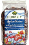 Herbária Gyümölcstea erdeigyümölcs okkal 120 g 73312 - doktorpatika