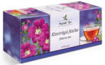 Mecsek Tea Kisvirágú Füzike Tea 25x 1g Filt - doktorpatika