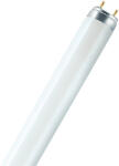  Bellight T8 36W hagyományos fénycső 4000K 1200mm (36WT8)