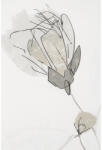  Passion - 904 ezüst - 280 cm