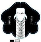 Everin Șabloane Unghii Profesionale EVERIN U4-F2 - Rolă 100 bucăți pentru Construcții cu Gel și Acryl (U4-F2-100B)