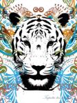 Consalnet Tigris vlies poszter, fotótapéta (206 x 275 cm) (C1-2186VEA)