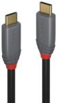 Lindy Cablu Lindy 3m USB 3.2 C to C 10Gbps (LY-36908) - typec