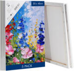 H&S Set 5 panze pentru pictura H&S, 30x40 cm, tesatura din bumbac 100%, potivit pentru vopsea acrilica/ulei (4262367021883) Panza pictura