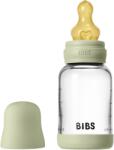 BIBS - Set complet biberon din sticla anticolici cu tetina din latex, flux lent, 120 ml, Sage (5019250)