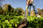 GARDENA PureLine Talajlazító FSC® 100%