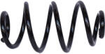 Asam Automotive Arc suspensie spate ASAM 05543