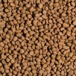 Tropical Koi Probiotic Pellet M 5 L (17783)