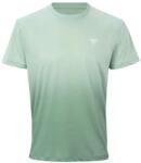Tecnifibre Team X-Loop Sage Férfipóló XXL