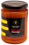 Apivitalis MGO 150+ manuka méz 500g