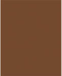  Dekorkarton, 2 oldalas, 50x70cm, 220 g, 10 lap, FOLIA, csokoládé barna (61221085) - mystock
