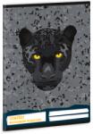 Ars Una A5 leckefüzet Black Panther (5529) 26 (50845293)