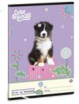 Ars Una 2732, négyzethálós A5 füzet Cute animals- Aussie (5528) 26 (53635280)