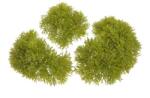  Muschi artificial pentru decoaratiuni florale set 3 buc (8426)